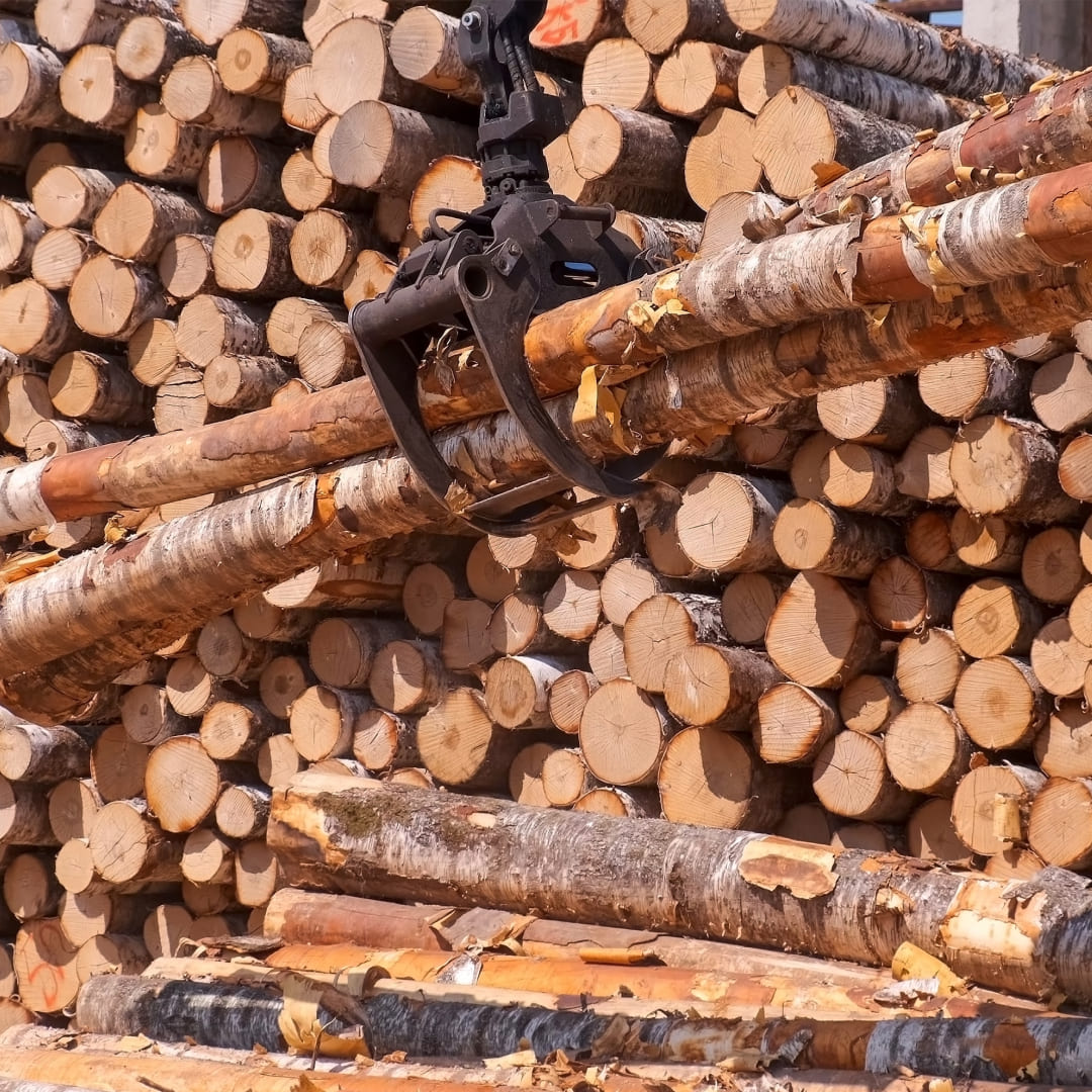 Состояние и перспективы лесопромышленного комплекса РФ